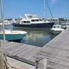 shanesanderson23 - @shanesanderson23 - TikTok