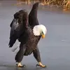 shanesanderson63 - @shanesanderson63 - TikTok