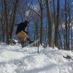 Shane  Sassone - @shanesass0ne - Instagram