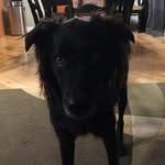 Shane Sauer - @its013_shane - Instagram