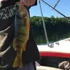 shane_sauer - @easychicken99 - TikTok