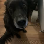@shane_sauer__ - Instagram