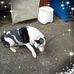 Shane Sayers - Facebook