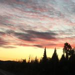 Shane Sayers-Lariviere - @shane_17_ - Instagram
