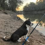 Shane Schulz - @shaneschulz5 - Instagram