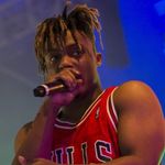 Shane Seals - @mrshane_seals - Instagram