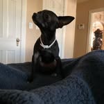 Shane Searfoss - @litt.le6692 - Instagram