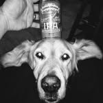 Shane Seery - @gonzodaze - Instagram