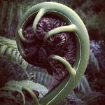 Shane Senne - @shanesenne - Instagram
