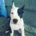 shane shafer - @shane22344679 - Instagram