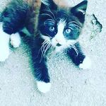 Shane Shafer - @shane.shafer.1441 - Instagram