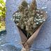 Shane Sharpe - Facebook