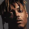 shane - @shane.shears - TikTok
