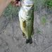 Shane Shears - Facebook