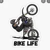 shaneshears46 - @shaneshears46 - TikTok
