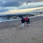 Shane shepherd - @mcsh3py97 - Instagram