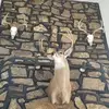 shaneshepherd1412 - @shaneshepherd1412 - TikTok