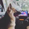 shaneshepherdofficial - @shane_shepherdofficial - TikTok