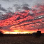 Shane Shipman - @shane.shipman.37 - Instagram