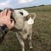 Shane Shockley - Facebook