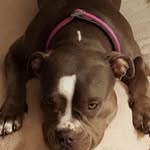 Shane Short - @short777 - Instagram