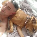 Shane Simms - @simms384 - Instagram