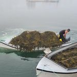 Shane Simms - @shanefezz - Instagram