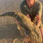 Shane Simpson - Facebook