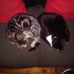 Shane Sinclair - Facebook