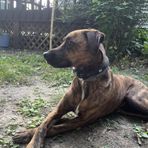 Shane Speight - Facebook