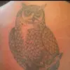 Shane Spence - @shane.spence77 - TikTok
