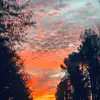 shaneilspivey - @oh_.im.dat.bih - TikTok