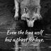 Shane St John - Facebook