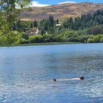 Shane Stockenstroom - @shane.stock - Instagram