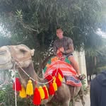 Shane Stocks - @shane_stocks - Instagram
