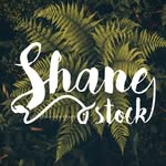 @shanestock_ - Instagram