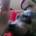 Shane Stout - Facebook