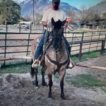 Shane Stratton - @shanestratton2 - Instagram