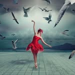 Shane Street Imagery - @shanestreetphoto - Instagram