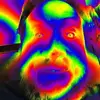 Shane Stringer - @shane.stringer60 - TikTok