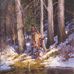 Shane Stringfellow - Facebook