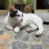Sean stromberg - @sean_stromberg - TikTok