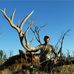 Shane Strong - Facebook