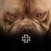Shane Stuart - Facebook