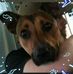 Shane John Sturgeon - Facebook
