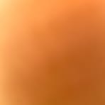 Shane Sugden - Facebook