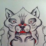 Shane Sumner - @smtsumner - Instagram