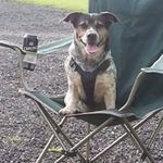 Shane Sumner - @shane.sumner.77 - Instagram
