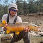 Shane Taggart - @shane.spt - Instagram