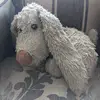 shanemctaggart905 - @shanemctaggart905 - TikTok